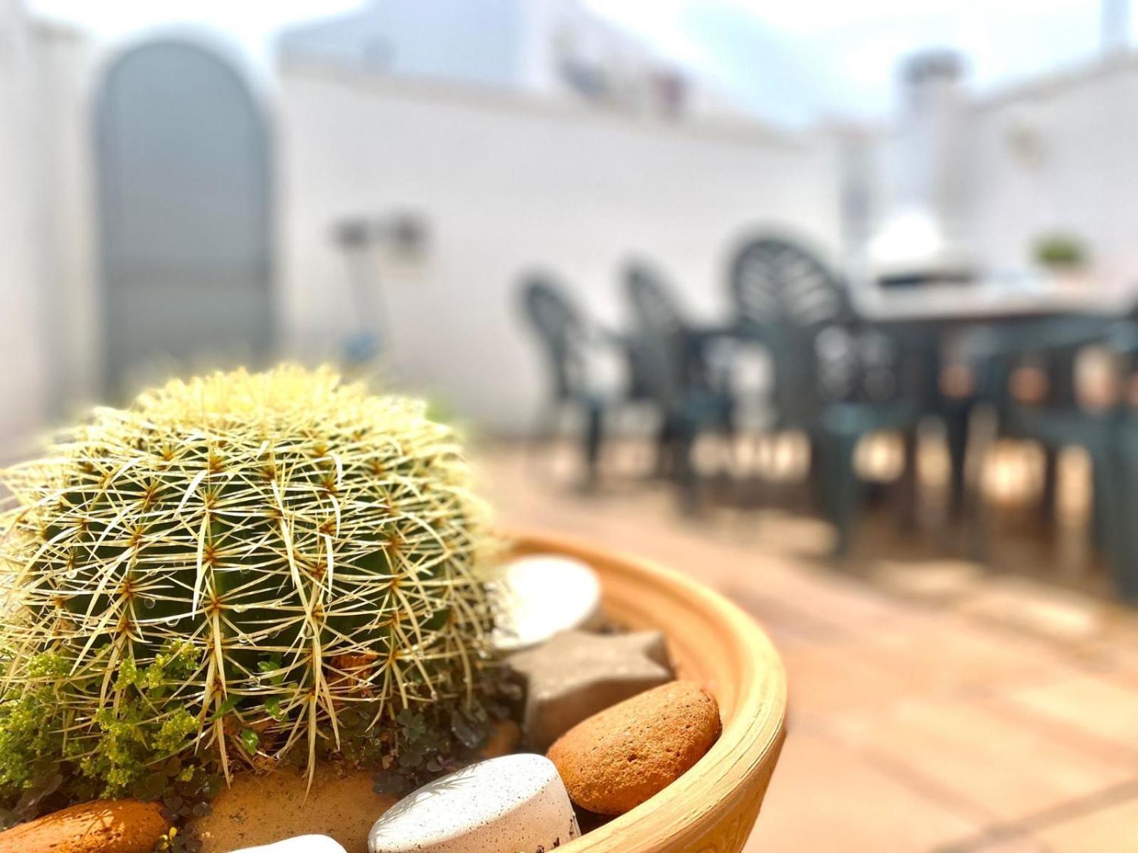 Casa Cony Villa Tarifa Eksteriør bilde